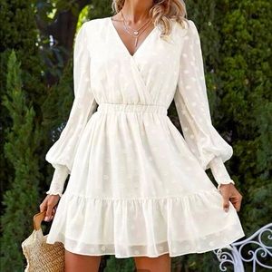 Lantern sleeve Swiss dot dress